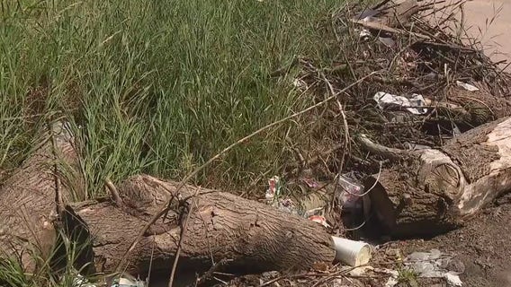 Detroit sues blockchain-based real estate company over rentals