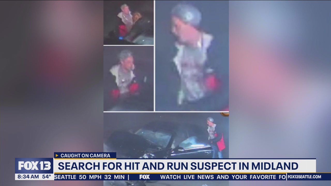 Deputies searching for Midland hit-and-run crash suspect