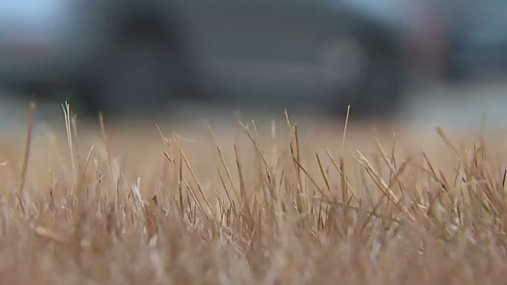 Brush fire danger remains high in Pierce County despite rain, cooler temperatures