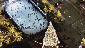 Planes, trains delayed as largest snow fall of season kicks off in Metro Detroit