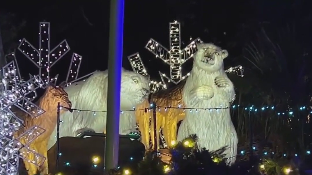 Houston Zoo lights up the night skies | Bayou City Buzz