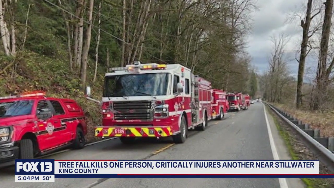 One dead, one critically injured after tree falls on vehicle in East King County