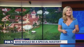 In The Courts: Who would be a special master?