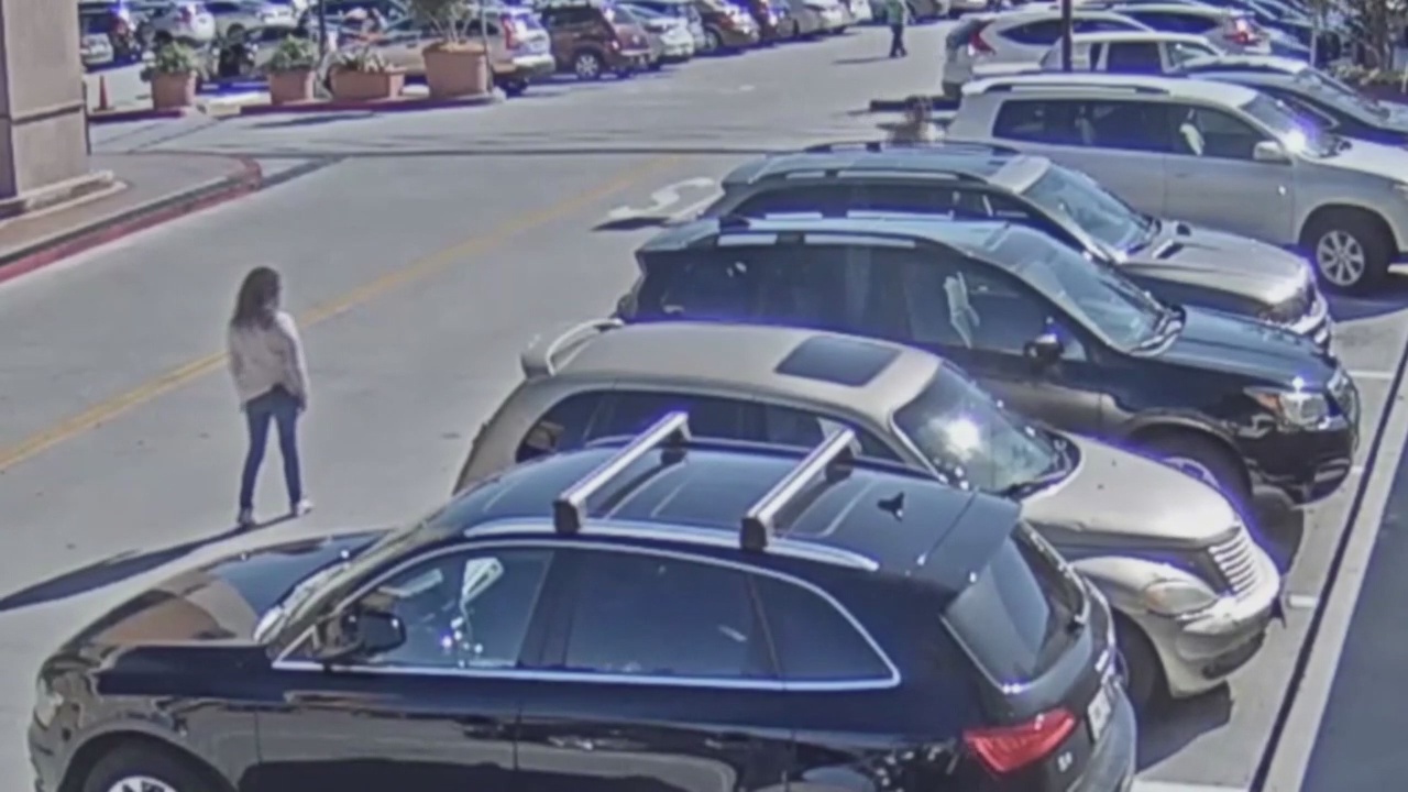 Police arrest Torrance tire slashing suspects