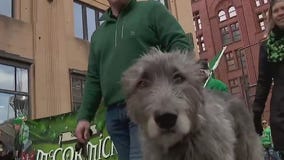 St. Paul's St. Patrick's Day Parade [FULL PARADE]