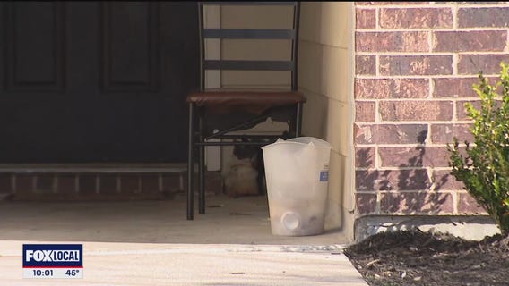 Teenage suspect arrested in fatal Lavon shooting