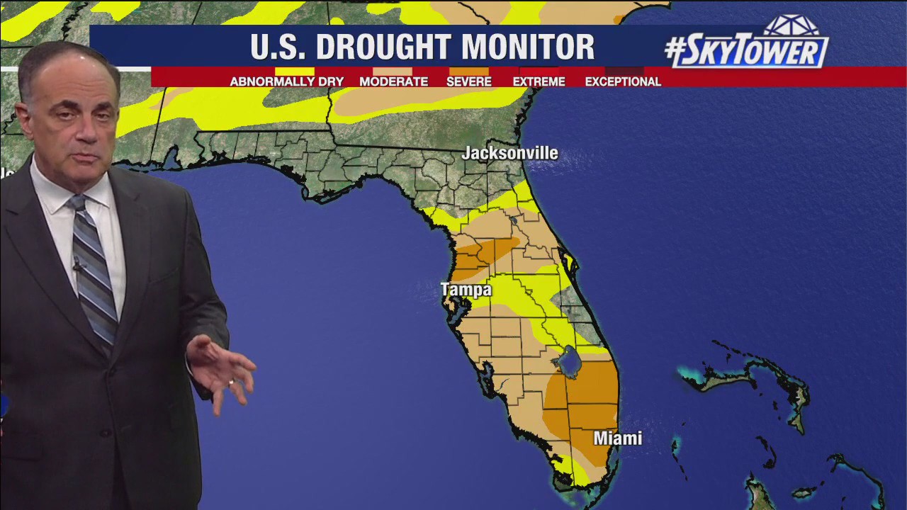 Tampa weather | Warm temps and sunny