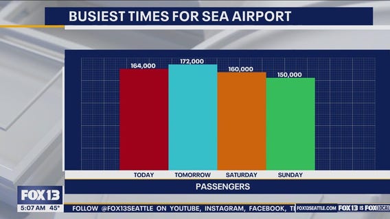 Busy travel SEA airport during holiday travel