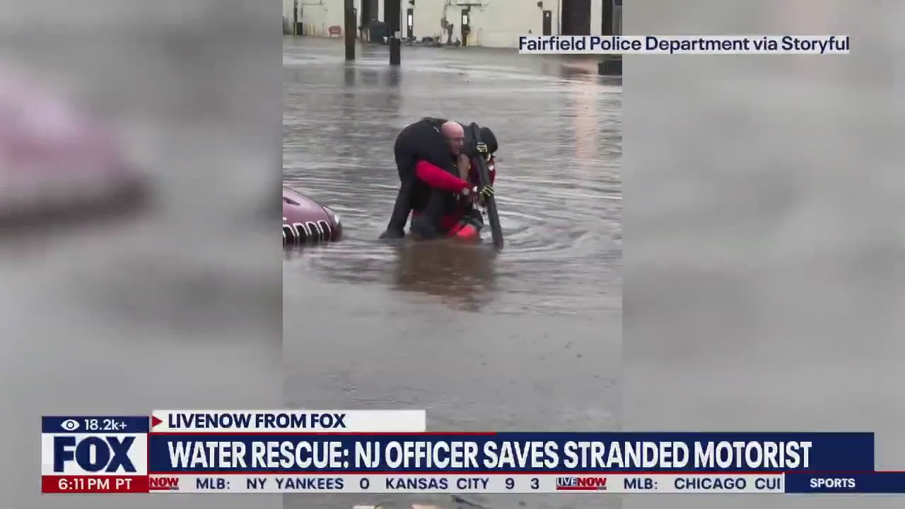 Police officer saves motorist from flood waters