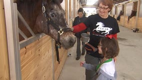 Young girl with huge heart raises $1,000 for horse rescue