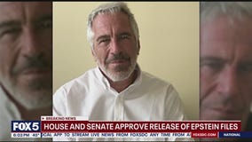 House, Senate approve release of Epstein files
