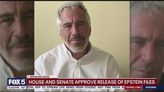 House, Senate approve release of Epstein files