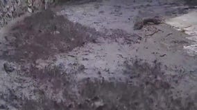 Jan. 2026 wildfire survivors brace for storms