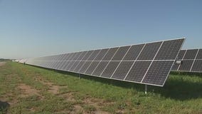 Department of Energy grants $1.1M to Cook County for solar workforce equity