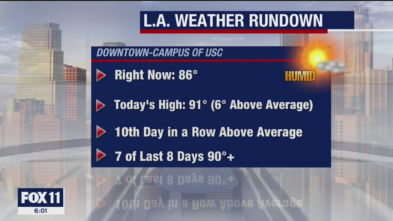 Weather Forecast Friday, August 21