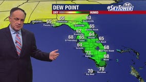 Tampa Weather | Chilly weekend, warmer next week