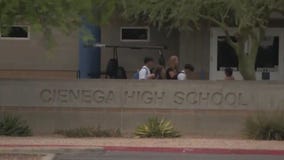 S. Ariz. teens accused of bringing gun to school