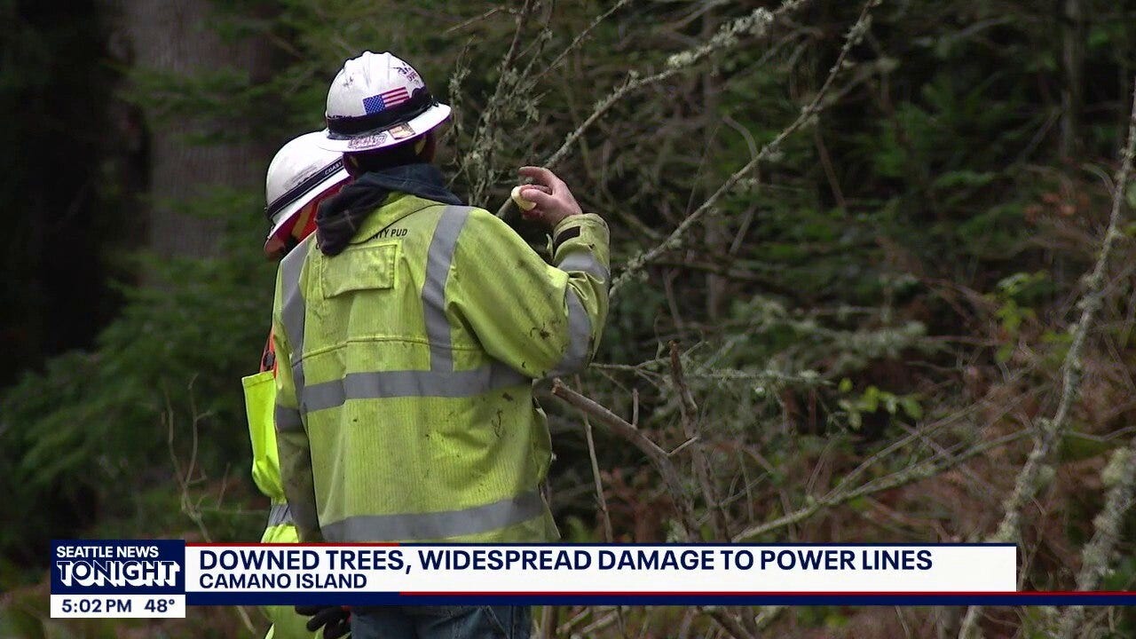 Camano Island faces days-long outages as crews race to repair windstorm damage