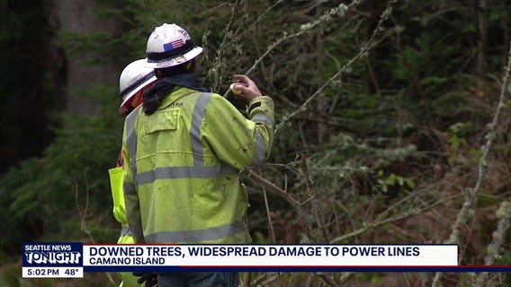 Camano Island faces days-long outages as crews race to repair windstorm damage