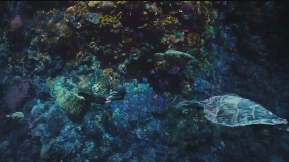 Travelzoo releases 'Best Bets' list for 2026