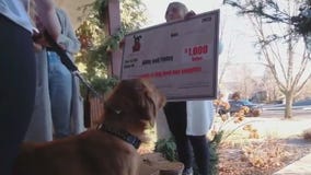 Service organizations offering canine companions