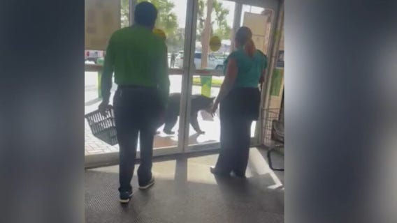 Bear spotted outside Florida Publix