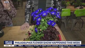 Learn how to pot your plants at the Philadelphia Flower Show
