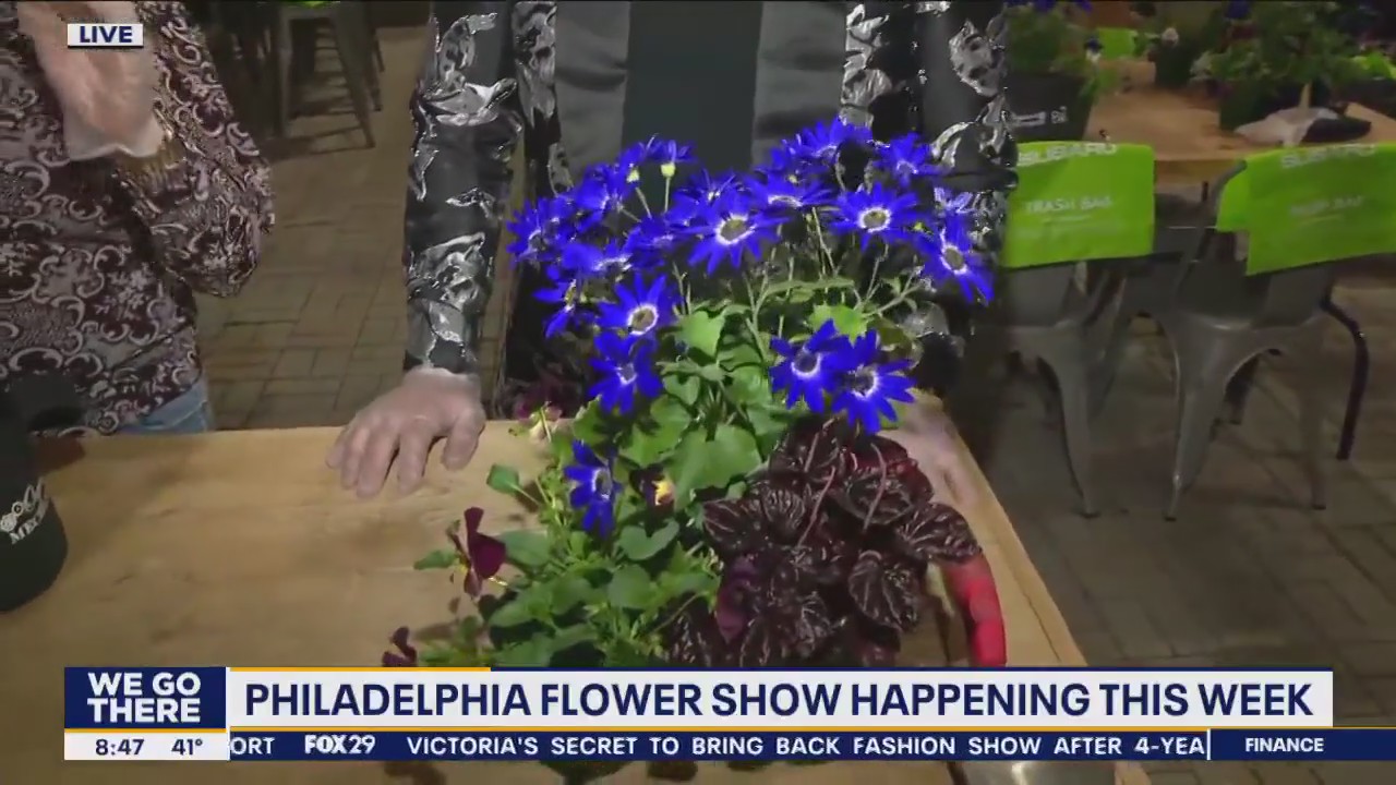 Learn how to pot your plants at the Philadelphia Flower Show