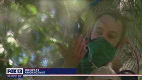 Man camps out in tree to prevent crews from tearing it down