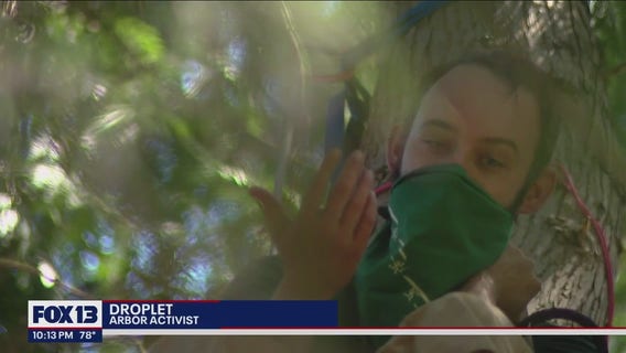 Man camps out in tree to prevent crews from tearing it down
