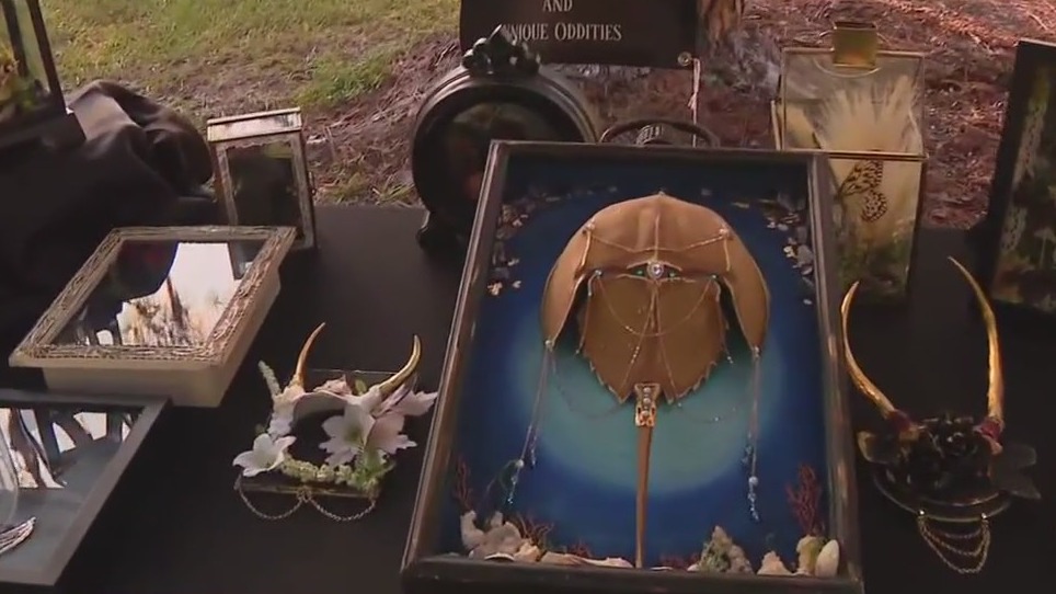 Vendor previews Wicked Wilds event at McIntosh Preserve