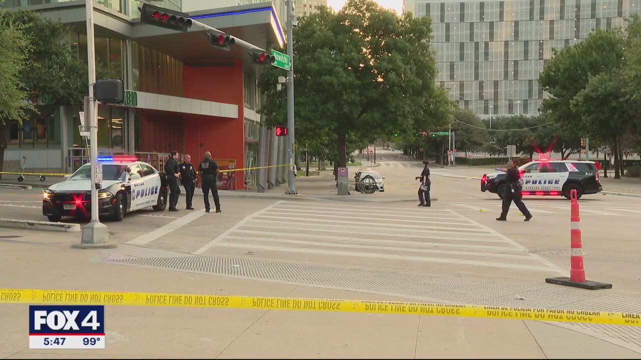 2 teen girls charged in Victory Park murder