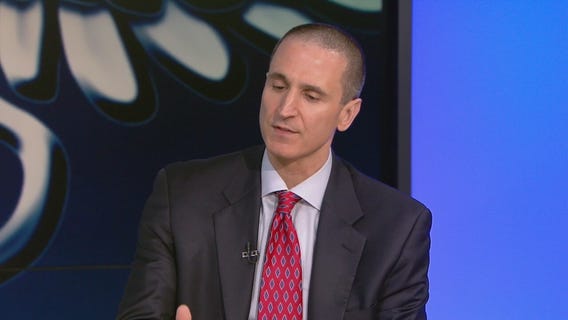 Typhus: Doctor discusses flea-borne outbreak, symptoms and prevention tips