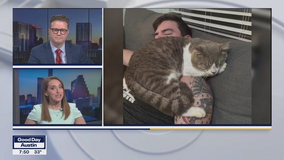 Pet of the Weekend: Hunky Chunky