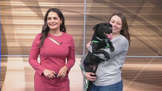 Pet of the Day: Jacquelyn