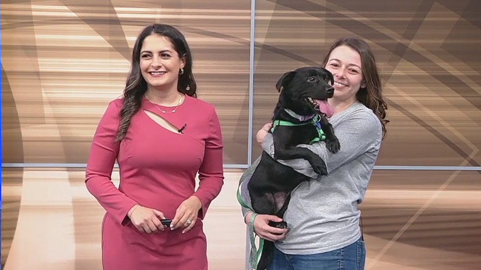 Pet of the Day: Jacquelyn