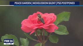 Keep Santa Fe Beautiful Therapeutic Garden virtual fundraiser is underway.