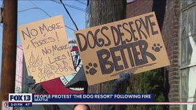 ?Keep the dogs safe?: Dozens protest The Dog Resort following Monday?s fire