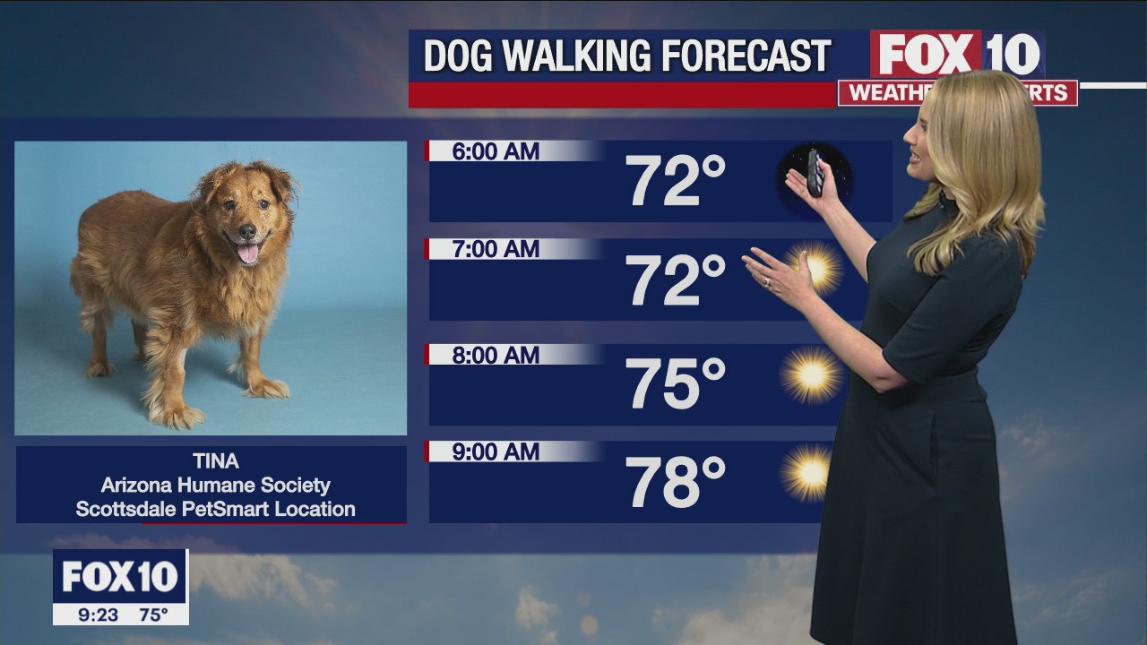 Weekend Weather Forecast