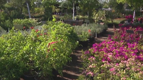 Call before you dig: Spring gardening reminders