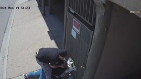 Woman attacked by purse snatcher in LA