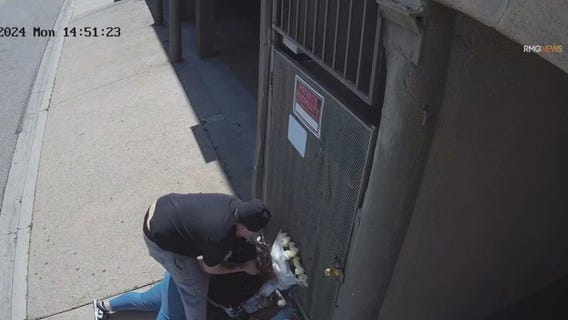 Woman attacked by purse snatcher in LA