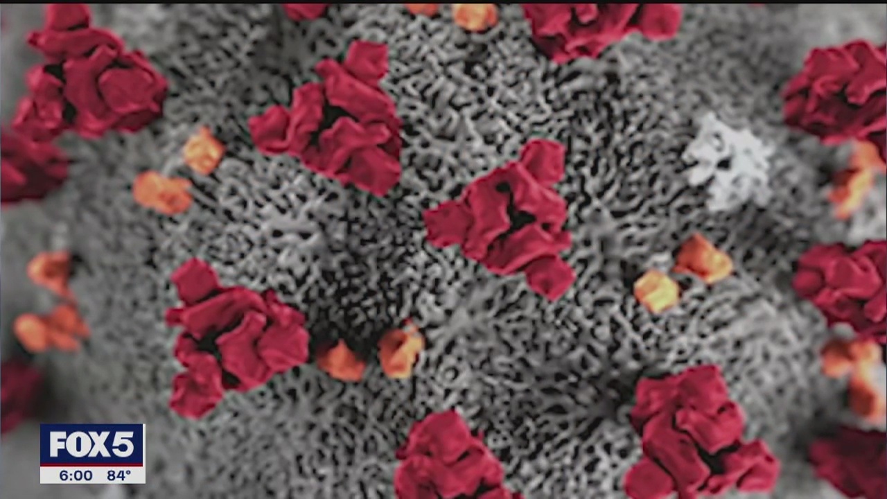 Concern as coronavirus cases spike across U.S.