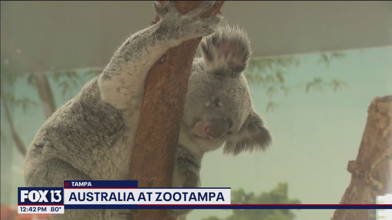 Explore Australia at ZooTampa