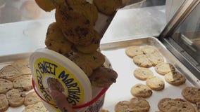 Behind the counter of Sweet Martha's Cookie Jar