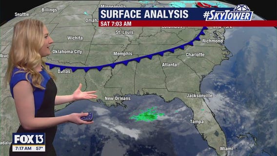 Tampa weather | Sunny conditions on Saturday