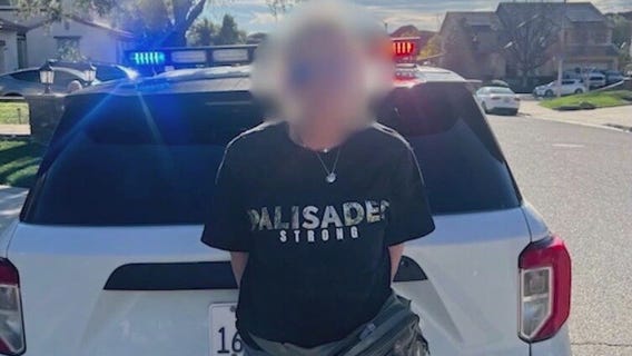 Woman in 'Palisades Strong' shirt accused of looting