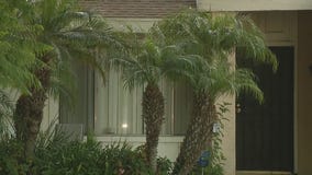 Police investigating stabbing at Ontario home