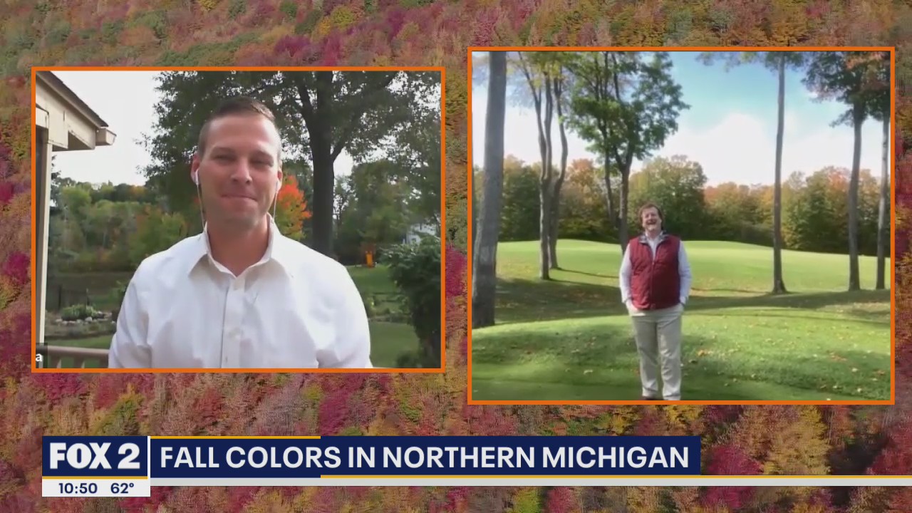 Fall Colors Popping Up North