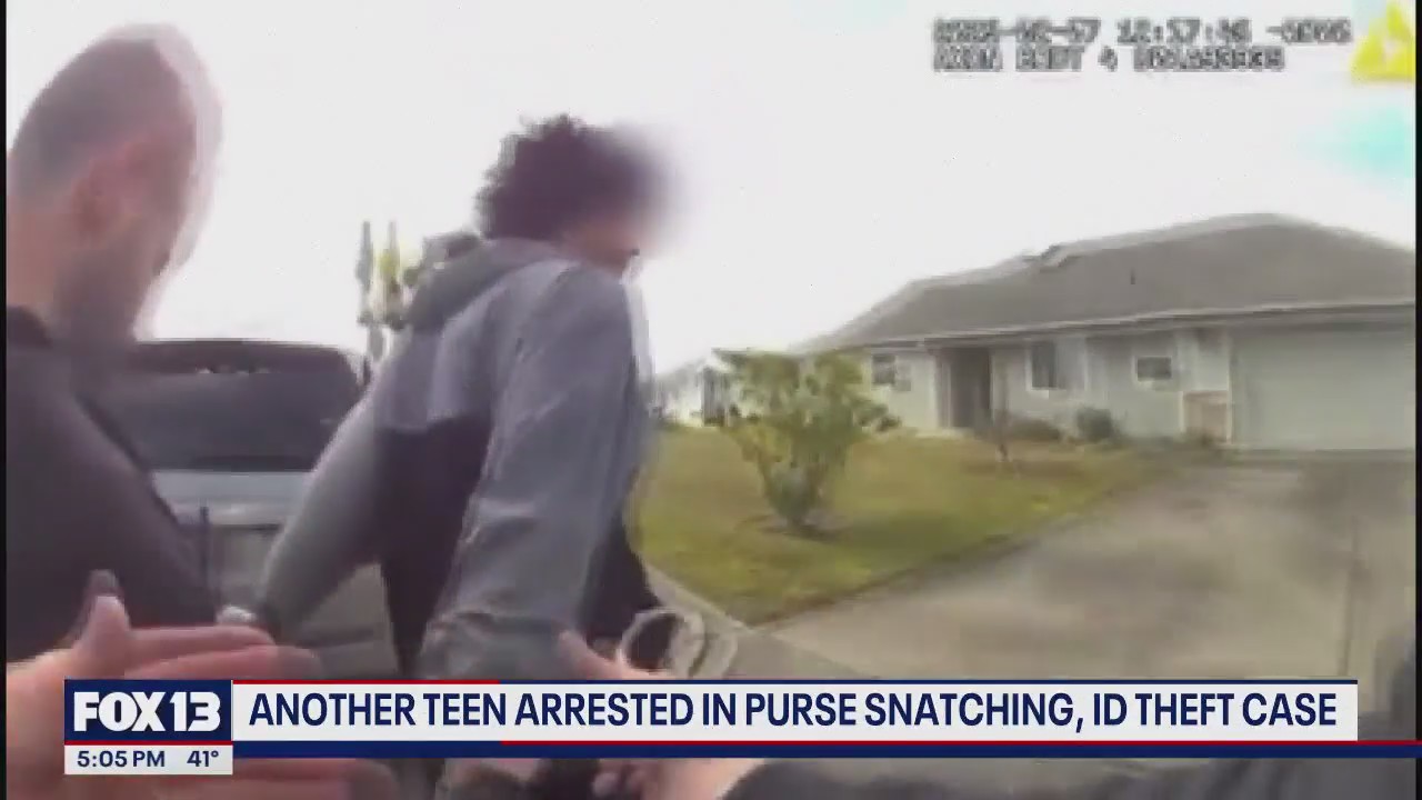 Third teen arrested in King County crime spree